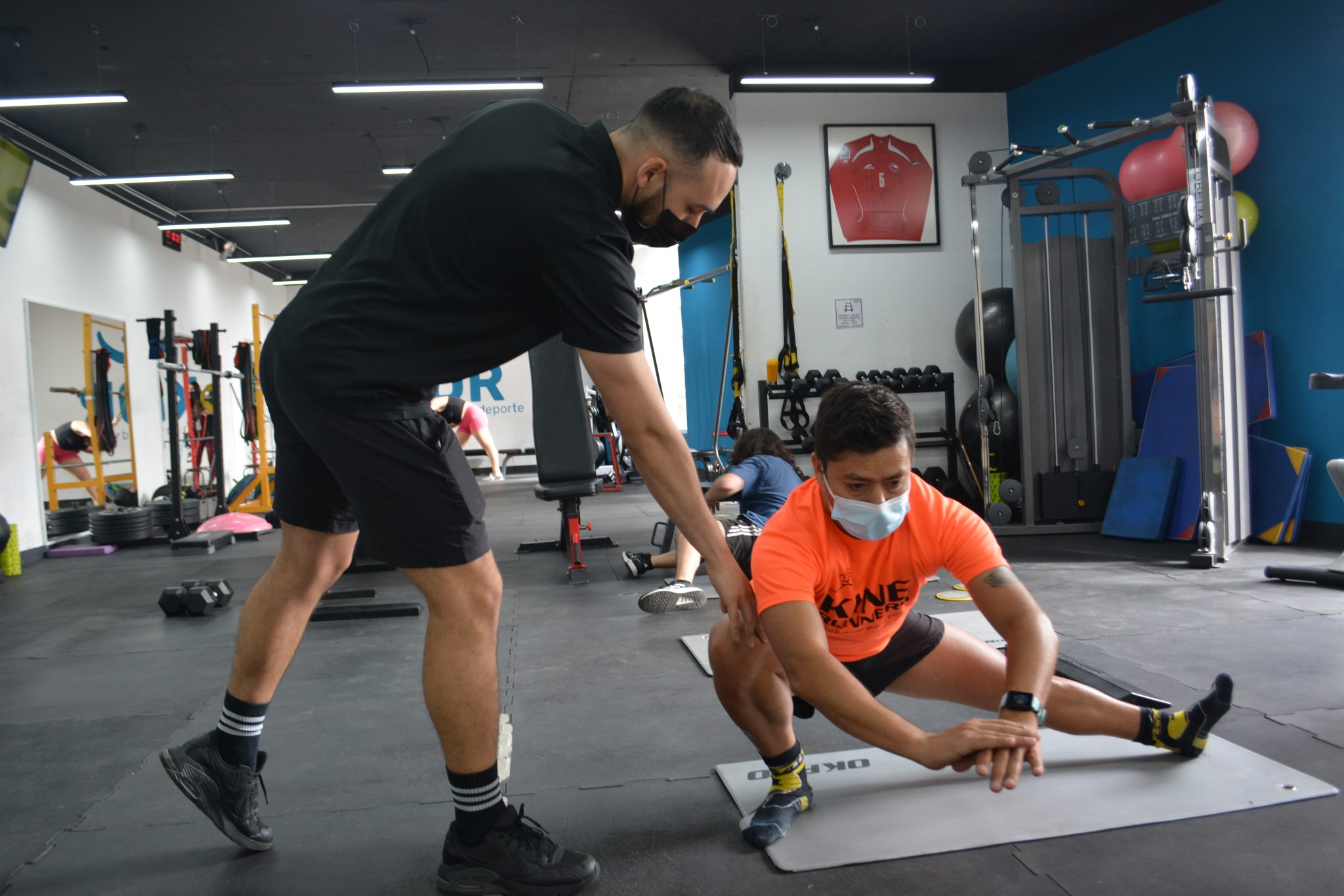 Terapia física y ejercicios guiados